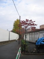 20101126-1.jpg