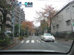 20101126-2.jpg