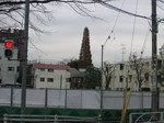 20101226-1.jpg