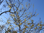 20110127.jpg