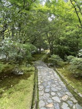 IMG_4717-e1753313836992