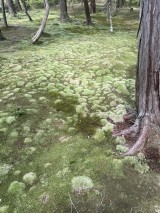 IMG_47361-e1753313921132