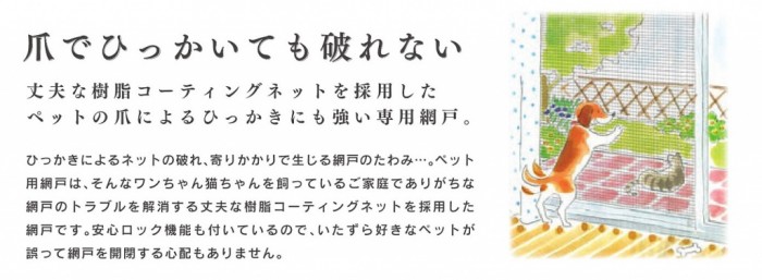 0241_amidosou_0155