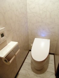 高品質の大理石水磨き調床タイルとハイブリッド節水トイレ