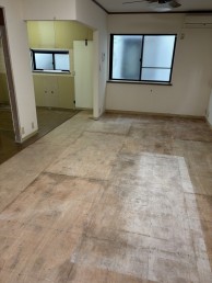 IMG_7687 IMG_7687-e1760438351116