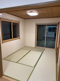 IMG_8257 IMG_8257-e1760438183773