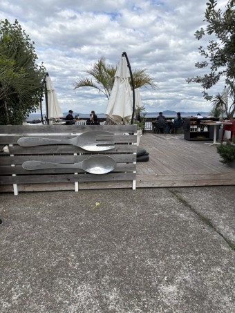 IMG_9905 IMG_9905-e1760164421199