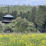 三重塔3