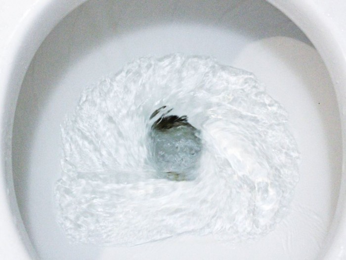 5 5254