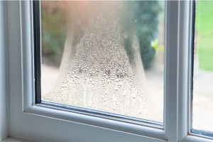 AdobeStock_348170210