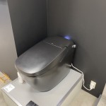 サティスＸ