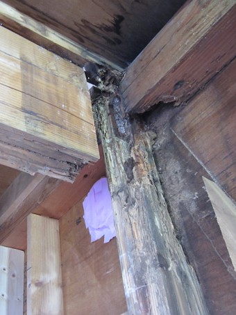 中古住宅の腐食した柱を取替―大地震に備えて耐震補強
