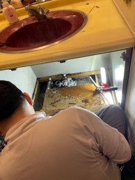 IMG_8635 IMG_8635